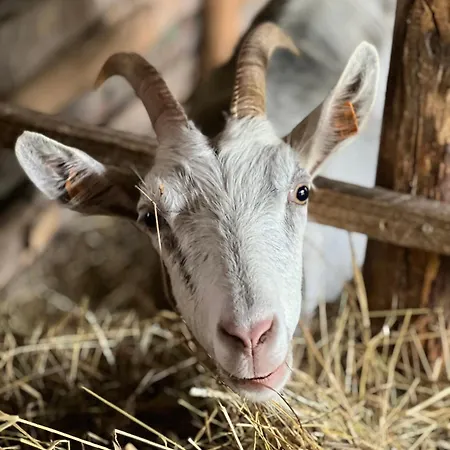 Radkow/gory Stolowe/kotlina Klodzka *