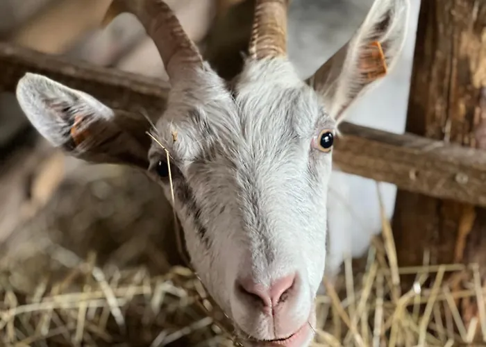 Radkow/gory Stolowe/kotlina Klodzka *