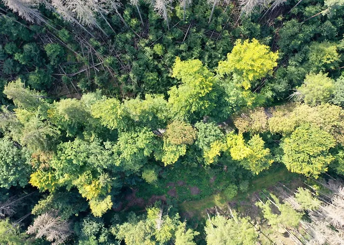 Radkow/gory Stolowe/kotlina Klodzka * 라트코프