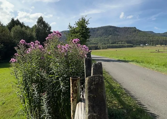 Radkow/gory Stolowe/kotlina Klodzka 아파트 *